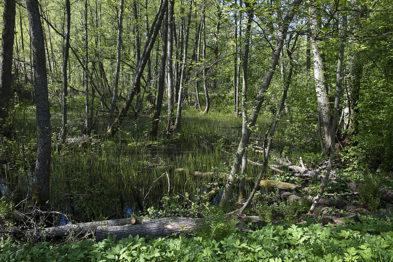 La terza Biennale di Helsinki, tutta per l’ambiente