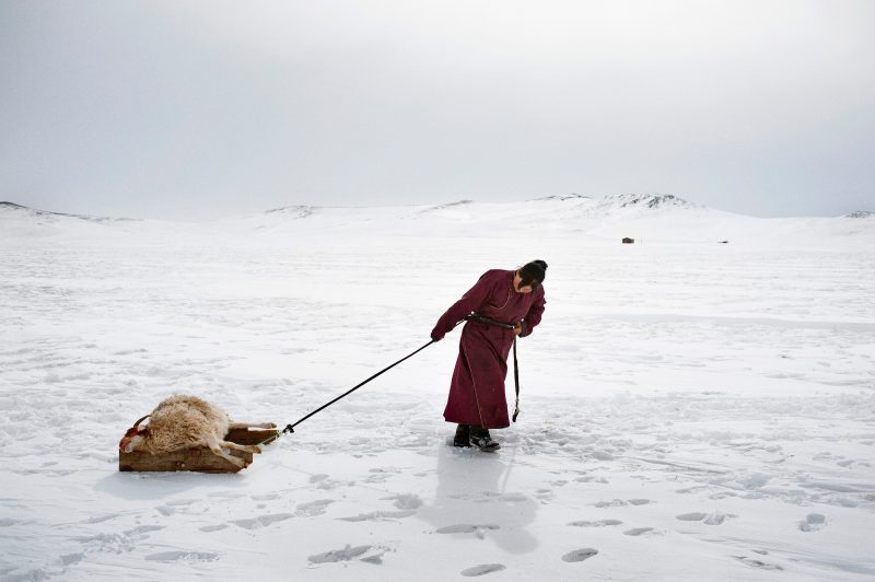 Alessandro Grassani, Mongolia, provincia di Arkhangai © Alessandro Grassani