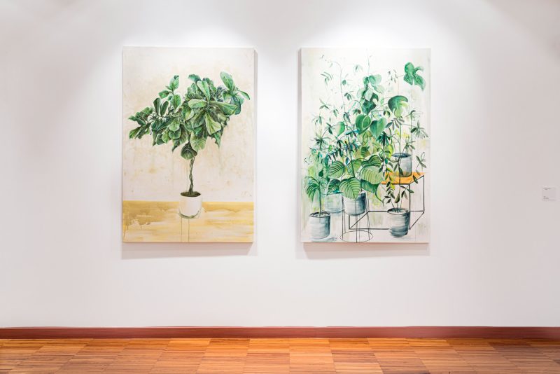 Antonio Bardino, Il respiro delle piante, 2024, vista della mostra, Casa Cavazzini, Udine, foto Nico Covre