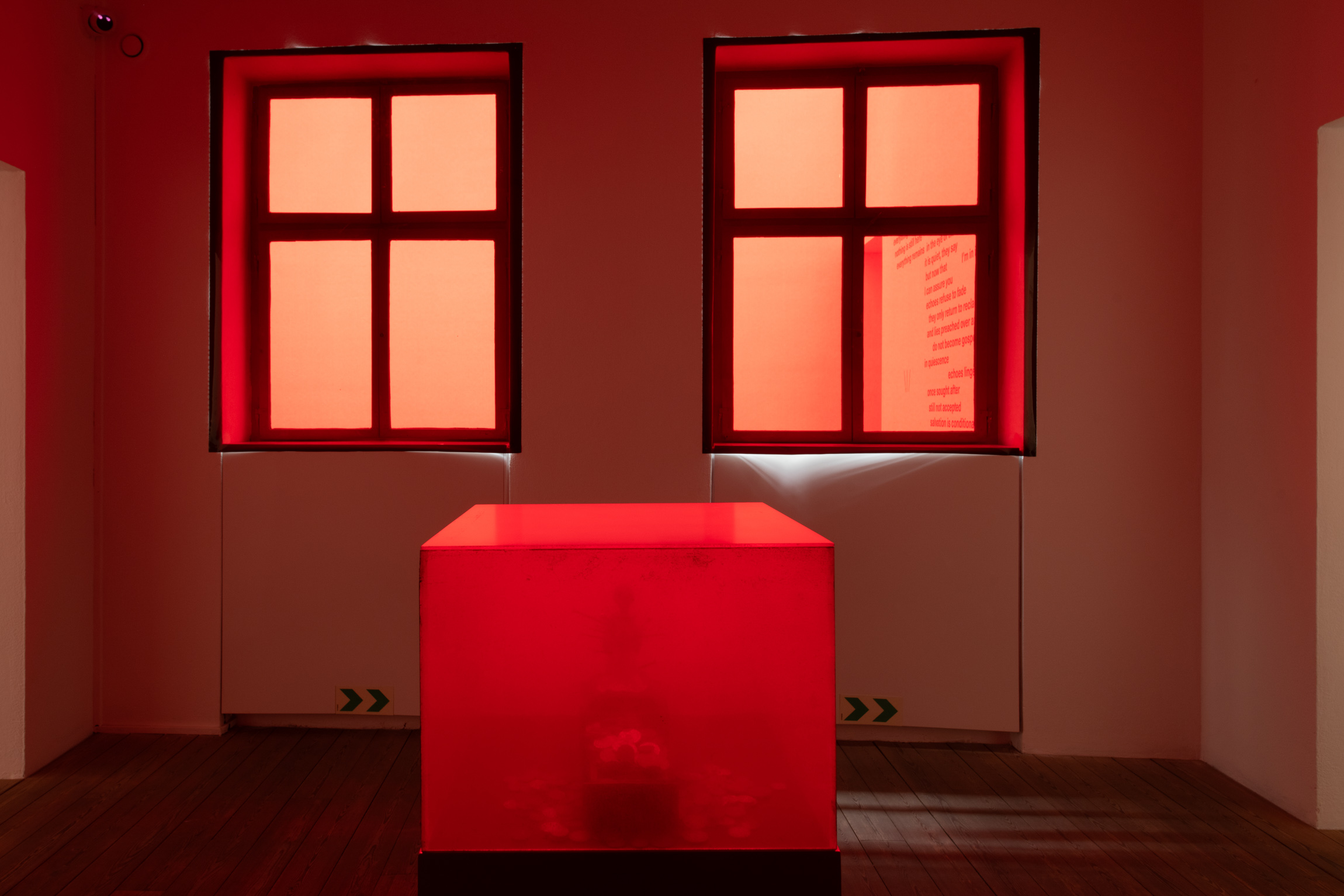 “Aerolectics”, la prima italiana di Belinda Kazeem-Kamiński