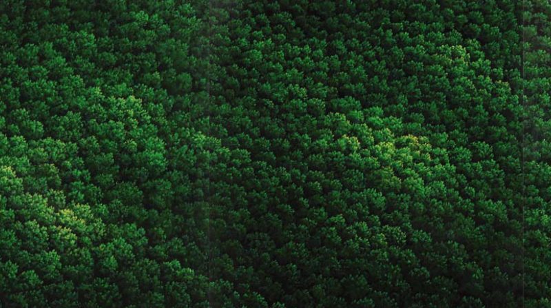 Franco Passalacqua, Compost, 2009-2010, acrilico e vernici industriali su alluminio (particolare)