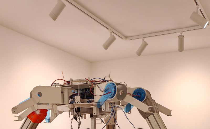 Donato Piccolo, Lullaby, galleria Playlist by Giampaolo Abbondio, Milano (particolare dell'allestimento)