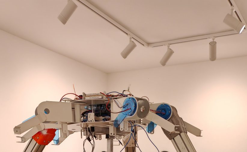 Donato Piccolo, Lullaby, galleria Playlist by Giampaolo Abbondio, Milano (particolare dell'allestimento)