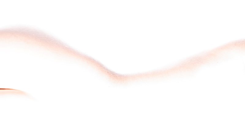 Marta Ferrarini, Curvilinea pt.2
