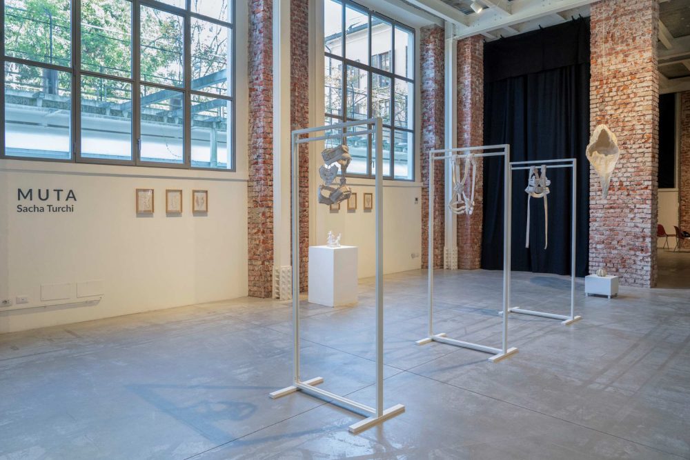 Sacha Turchi, Muta, 2025, ph di Simone Panzeri