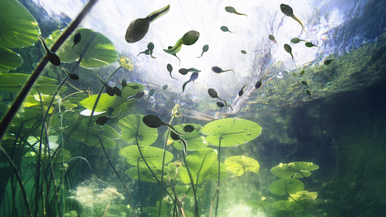 “Shelter”: la Biennale di Helsinki 2025 e il suo invito al “rifugio”