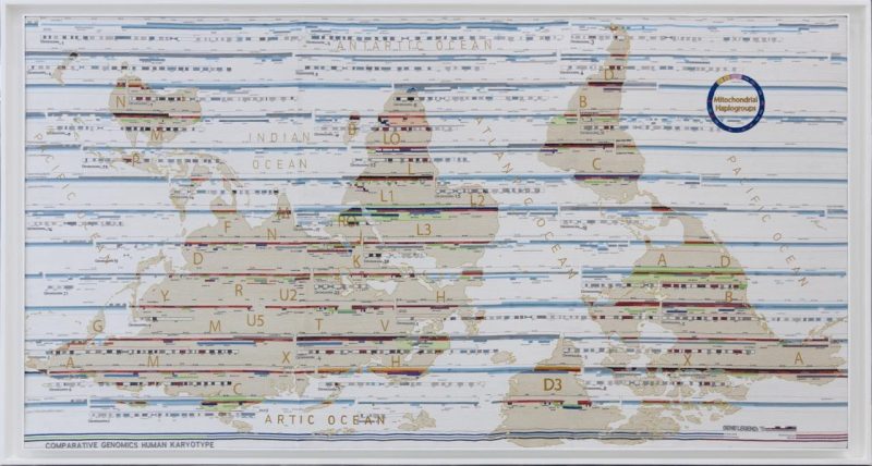 Daniela Papadia, Genes Mundi, National Crafts Museum, New Delhi