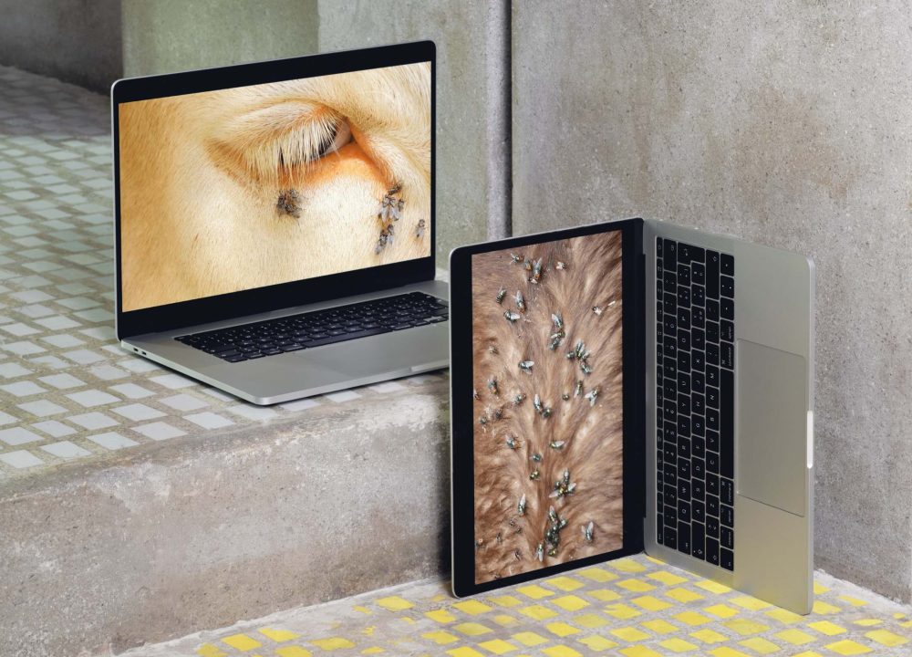 Formafantasma, FAI, Negozio Olivetti (foto Gregorio Gonella)