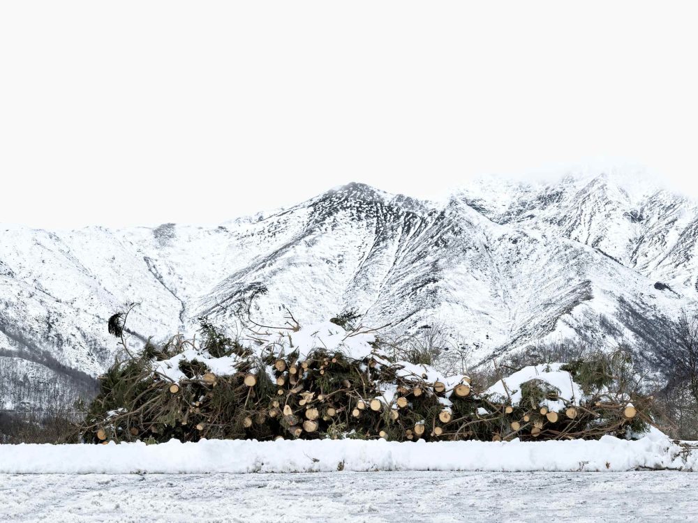 Francesco Jodice, Oasi Zegna, Valsessera, 2024, cm 54 x 70