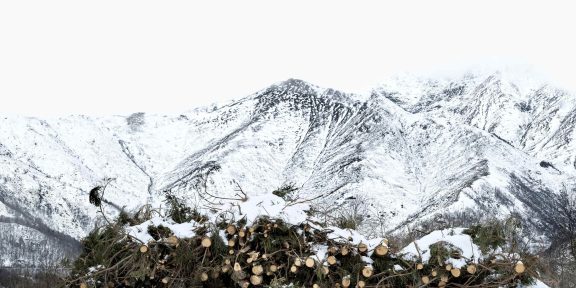 Francesco Jodice, Oasi Zegna, Valsessera, 2024, cm 54 x 70