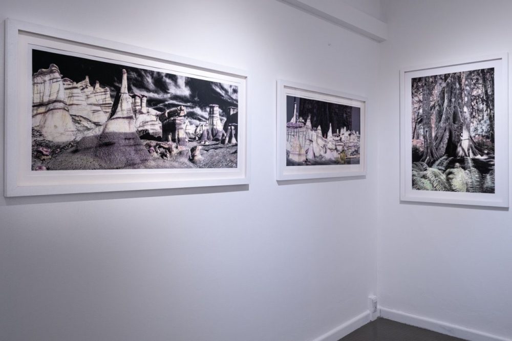 Opere di Patricia Dinu in mostra a La Spezia (foto Silvio Scialpi)