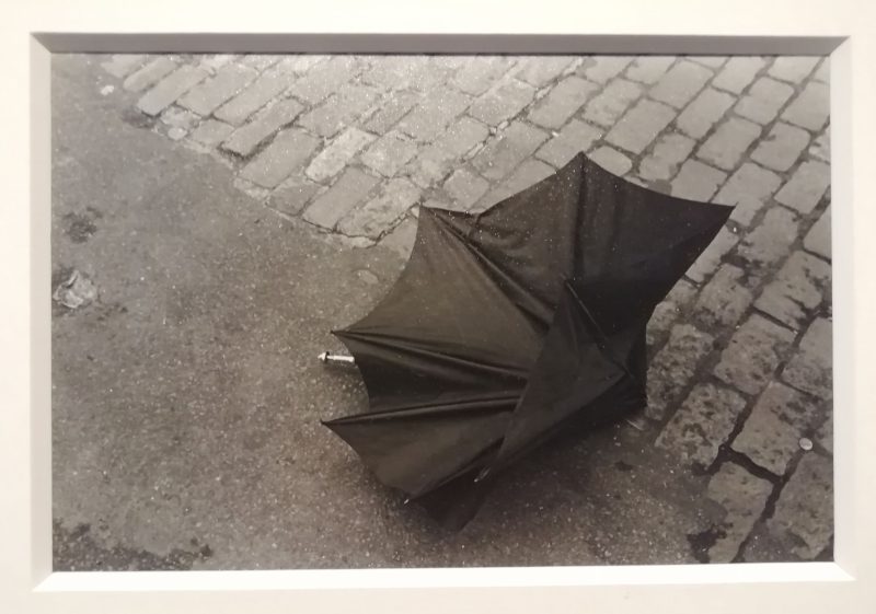 Saul Leiter, Ombrello, 1960