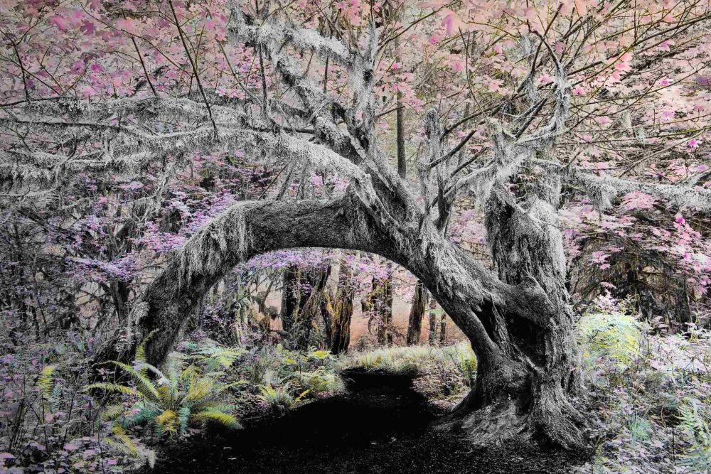 Un'opera di Patricia Dinu in mostra a La Spezia