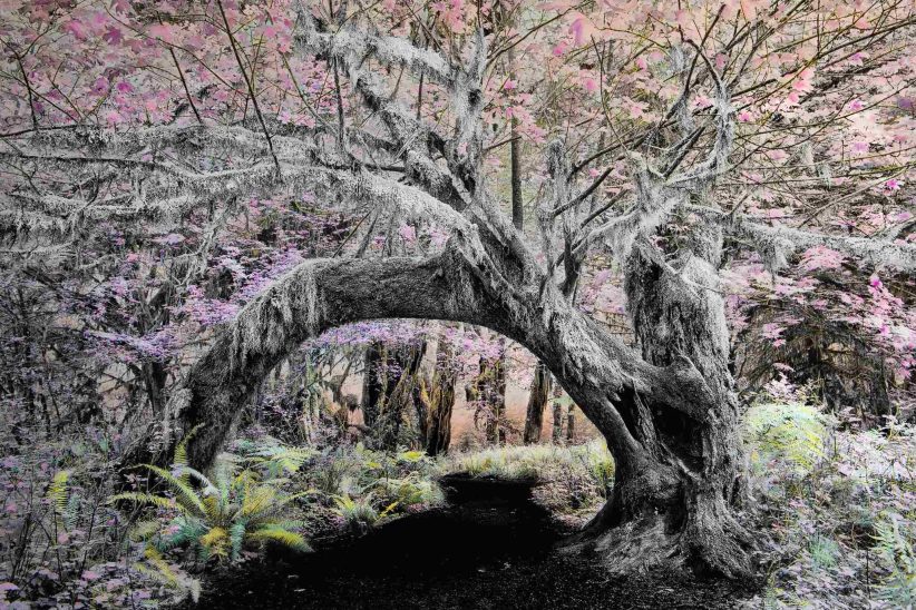 Un'opera di Patricia Dinu in mostra a La Spezia