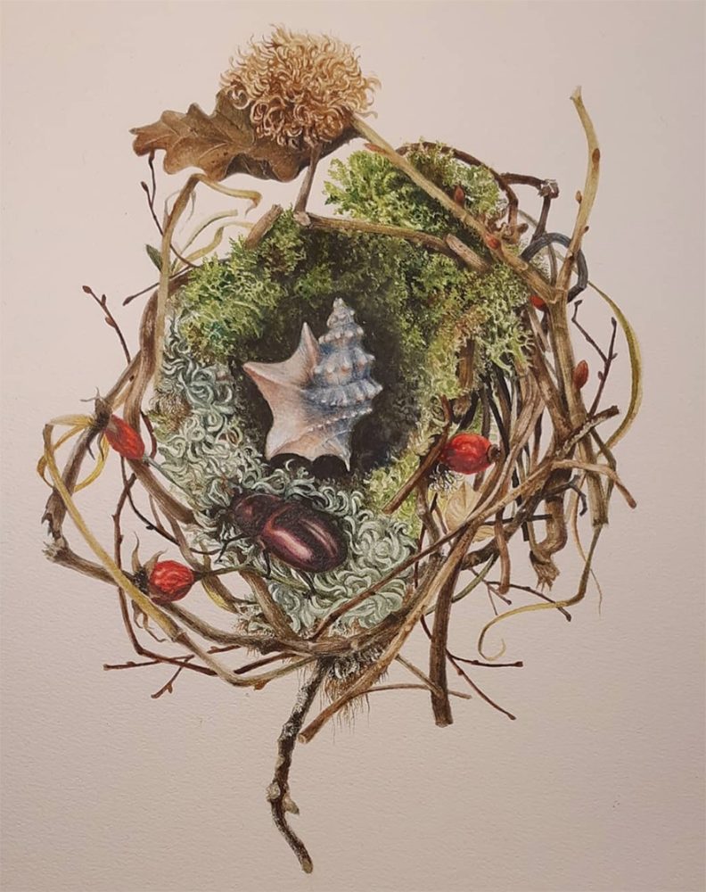 Caterina Elena Doria, Nido casa