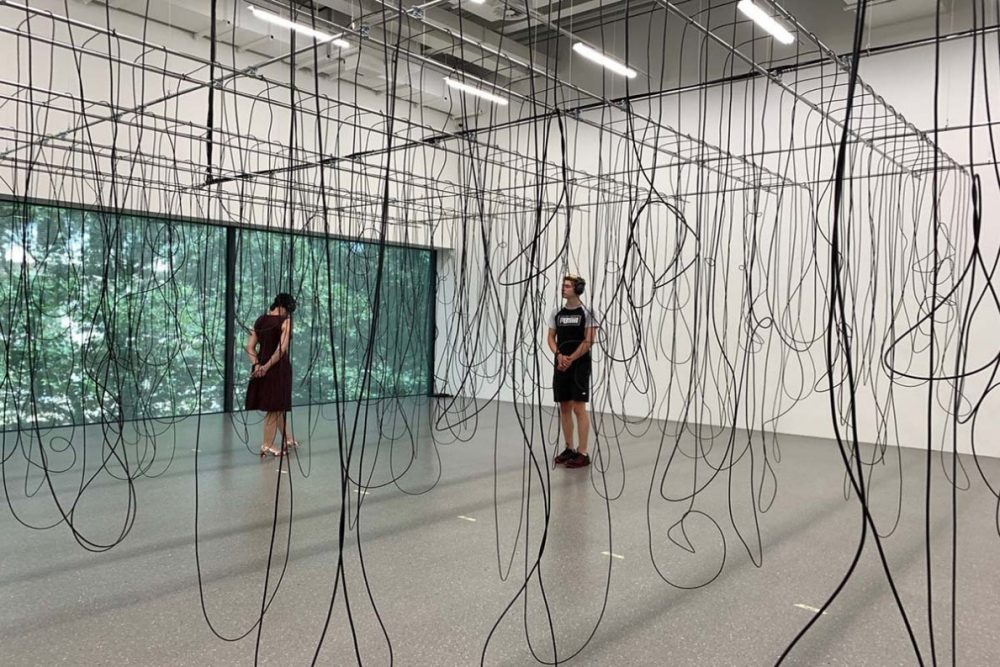 Christina Kubisch, La serra, 2017-2025, cavo elettrico, amplificatori, wave player, cuffie a induttanza magnetica, Museum of Modern Art, Saarbrücken