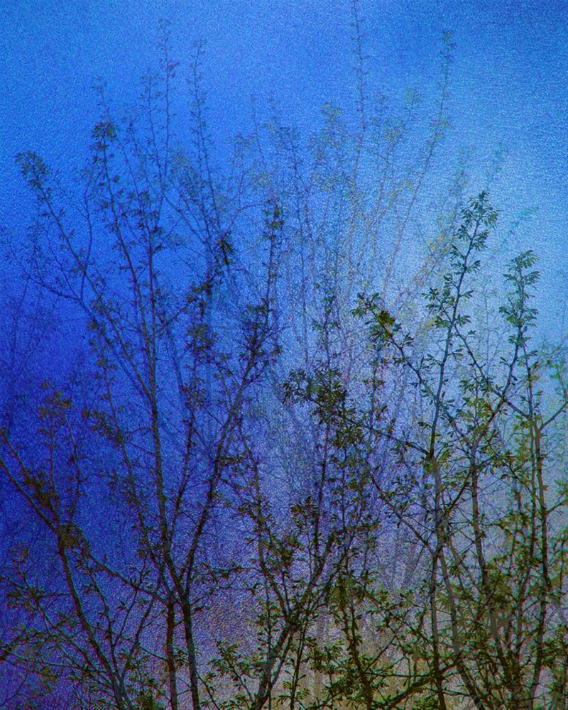 Davide Maria Coltro - SPRING