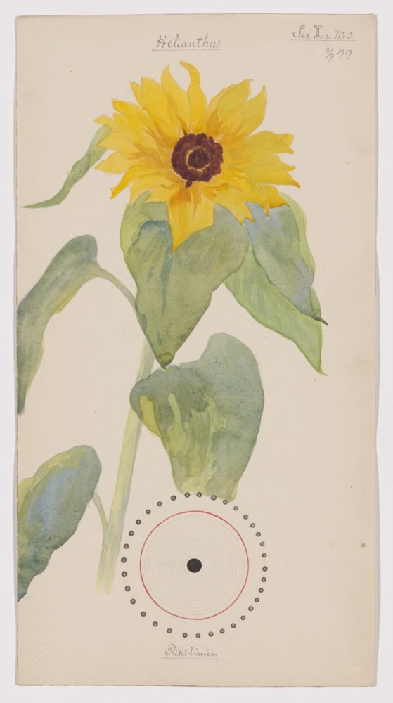 Hilma af Klint, Helianthus annuus, 1919