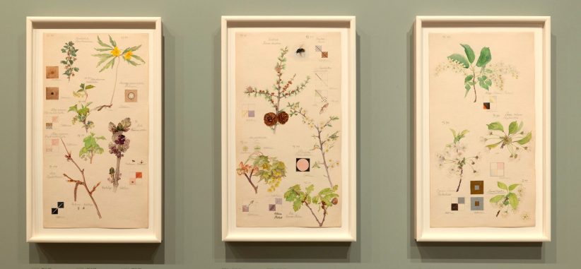 Installation view of Hilma af Klint. What Stands Behind the Flowers, Museum of Modern Art, New York, photo Robert Gerhardt