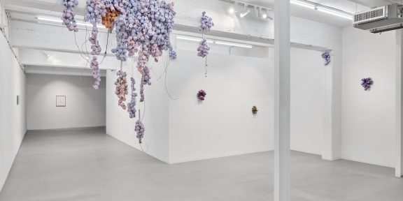 Luca Staccioli, Falling Flowers, ArtNoble Gallery, Installation view, courtesy ArtNoble Gallery, ph credit Michela Pedranti