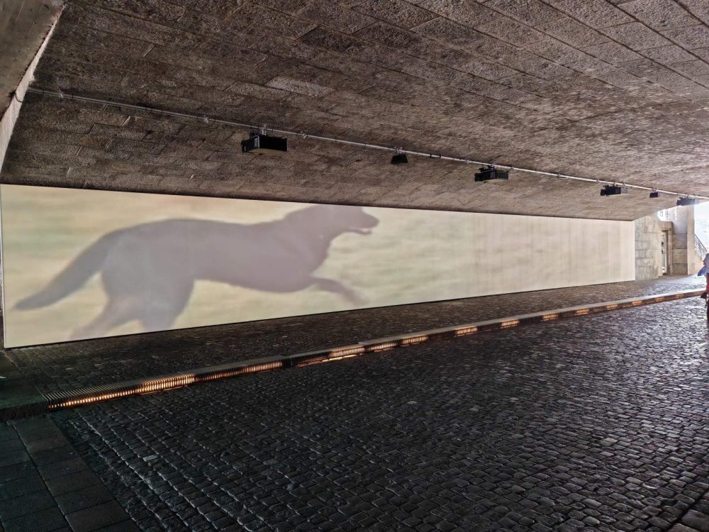 Sturtevant, Art Basel 2025, Parcours