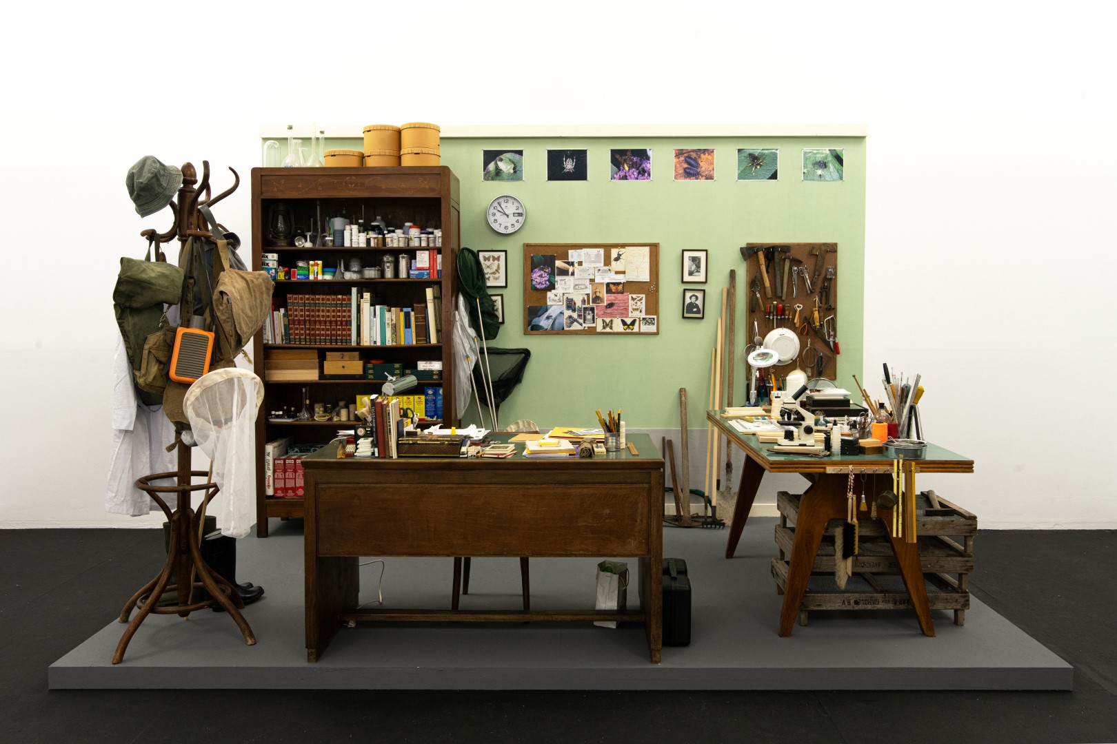 La malinconia e l’entomologo: Mark Dion a Genova