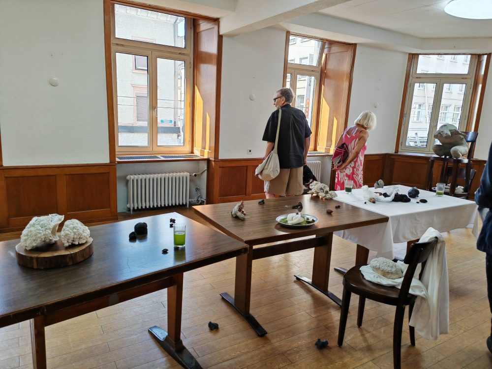 Yu Ji, ArtBasel 2025, Parcours