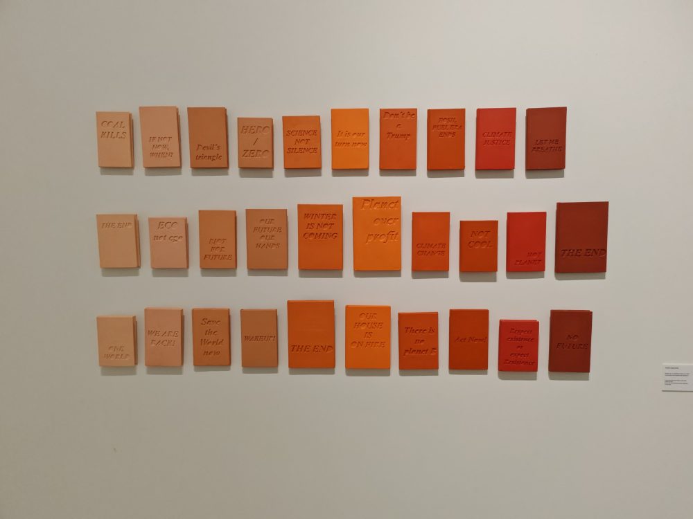 Avelino Sala, The Anthropocene: in search of a new human?, MACAM, Lisbona