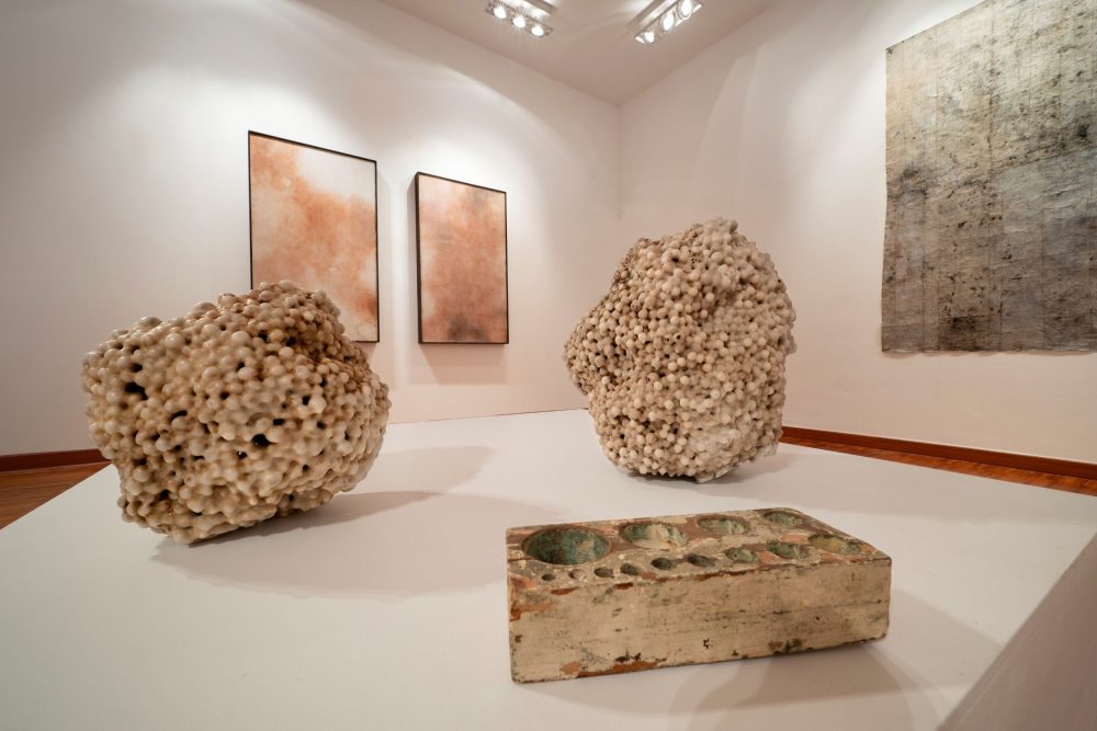 Silvia Infranco, Trame organiche, Casa Cavazzini, Udine (foto Luca Laureati)