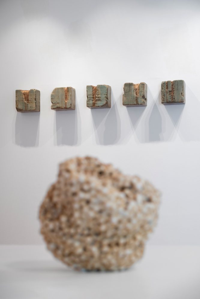 Silvia Infranco, Trame organiche, Casa Cavazzini, Udine (foto Luca Laureati)