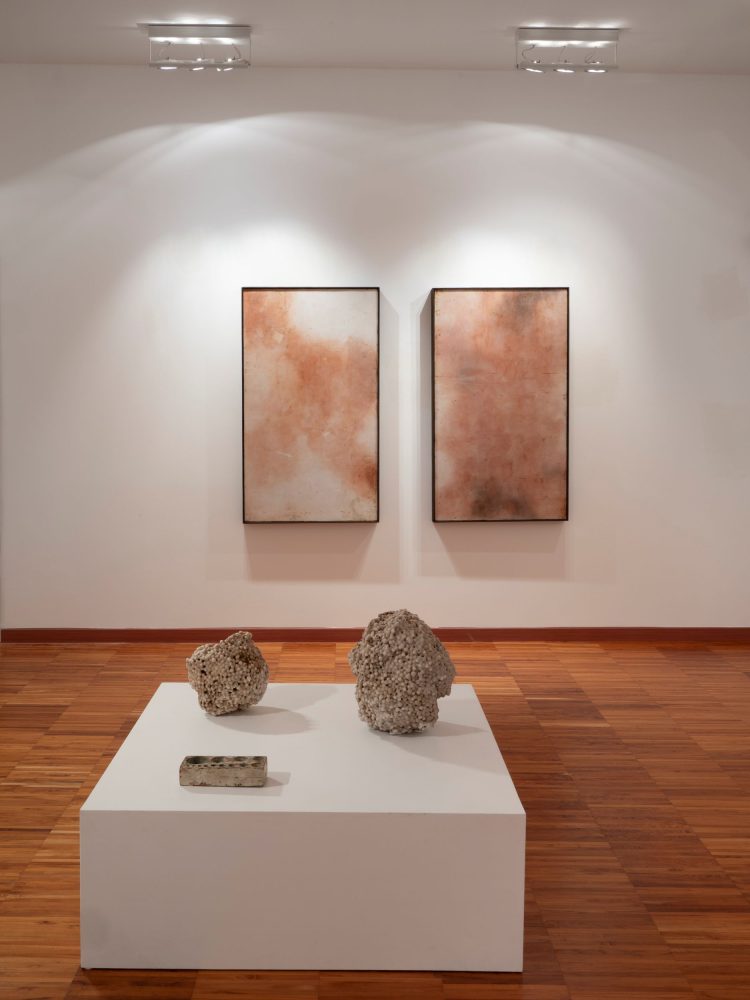 Silvia Infranco, Trame organiche, Casa Cavazzini, Udine (foto Luca Laureati)