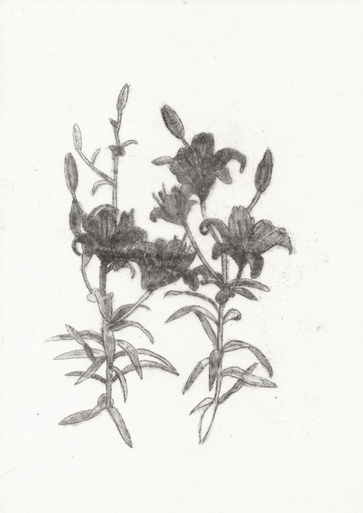 Night Rider, Eleonora Rinaldi, 2024. Courtesy of the artist