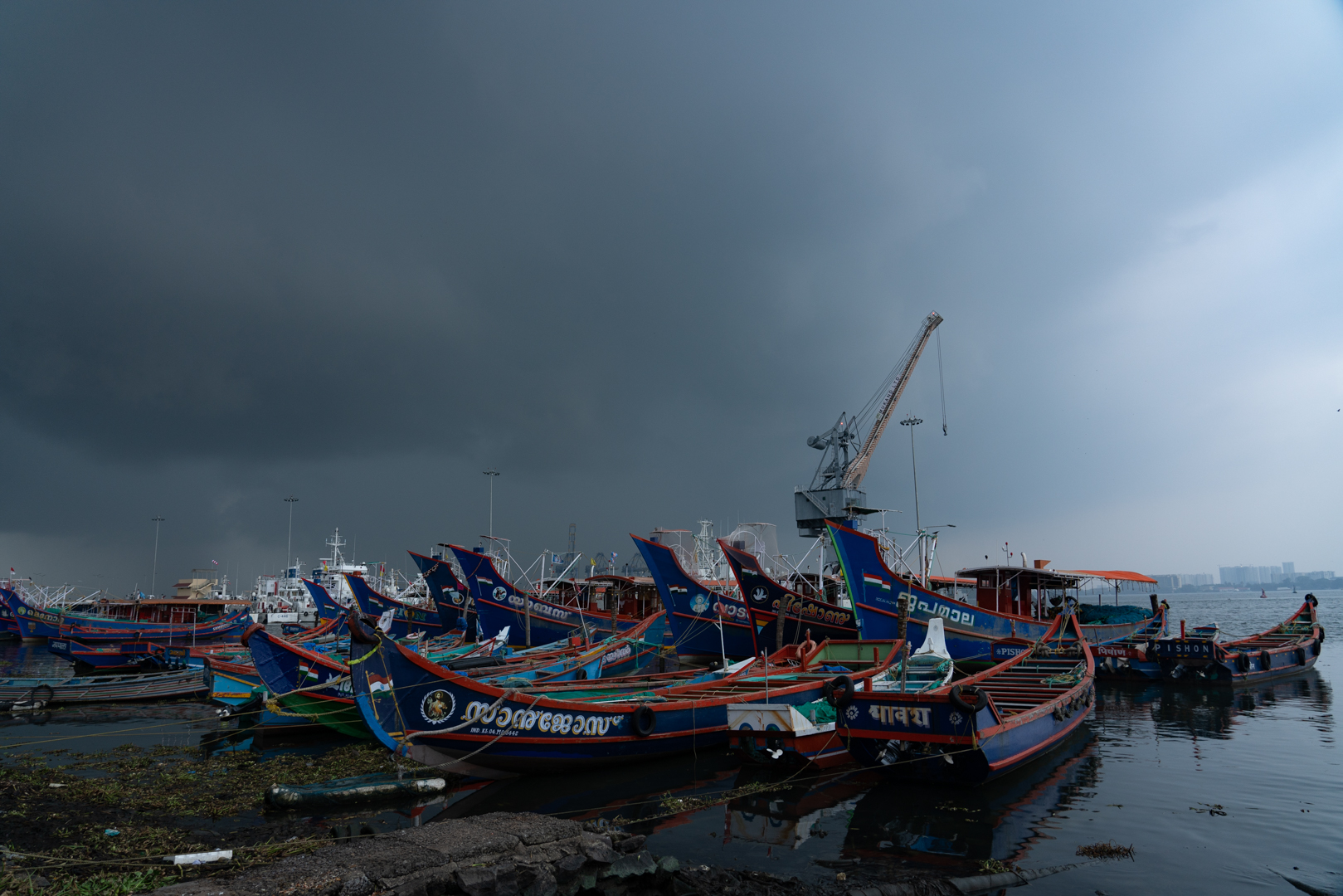 “For the Time Being”, a Kochi la biennale si fa ecosistema