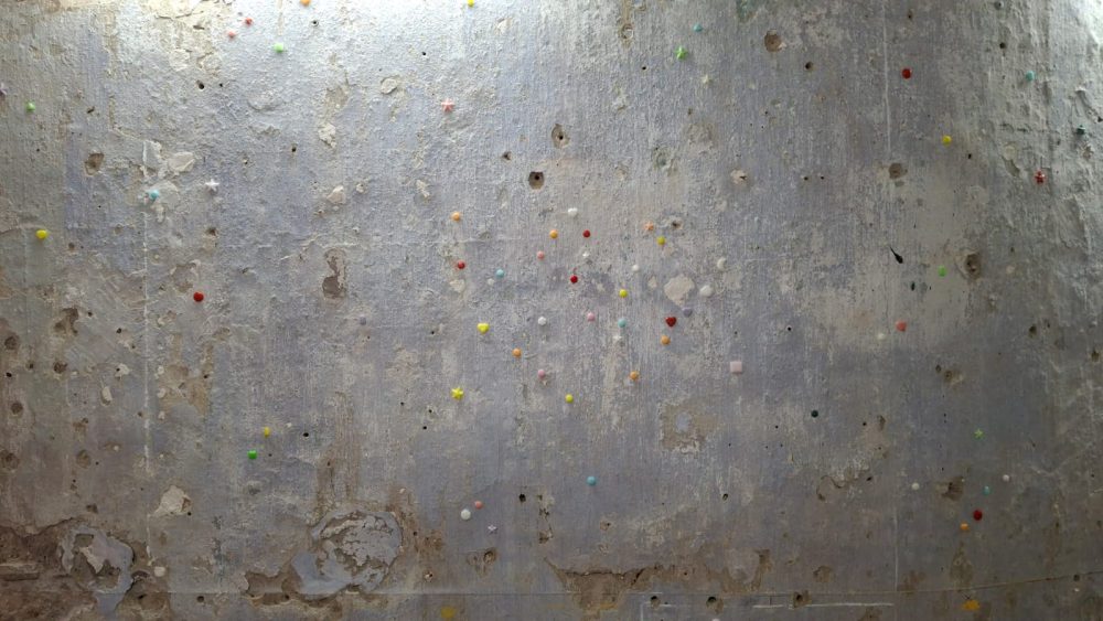 Michela Del Longo, Cometa, La Siringe, Palermo