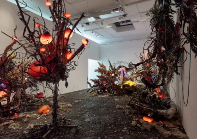 Addio Clearing Gallery