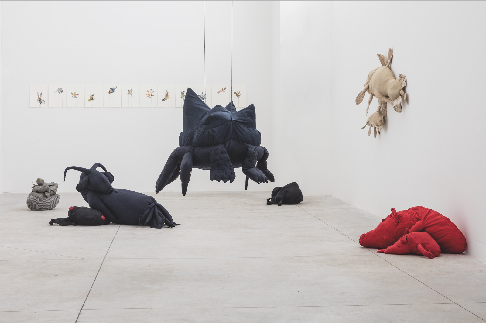 Prima di tutto, “caro”. Adriana Polveroni ricorda Fabio Gori