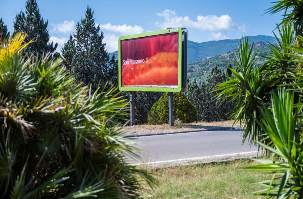 Aterraterra, Installation View, San Marzano 2, 2025, Typography Carla Selva & Paul Zech, Photo Robert Goodman Photo& Video. Courtesy of the artists and Museo Civico di Castelbuono