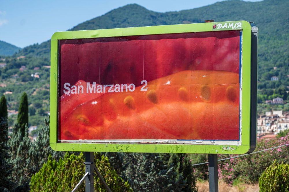 Aterraterra, Installation View, San Marzano 2, 2025, Typography Carla Selva & Paul Zech, Photo Robert Goodman Photo& Video. Courtesy of the artists and Museo Civico di Castelbuono