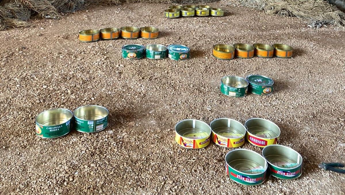 Come l’acqua intorno ai pesci. Corrado Bonomi in mostra alla Tonnara Florio di Favignana