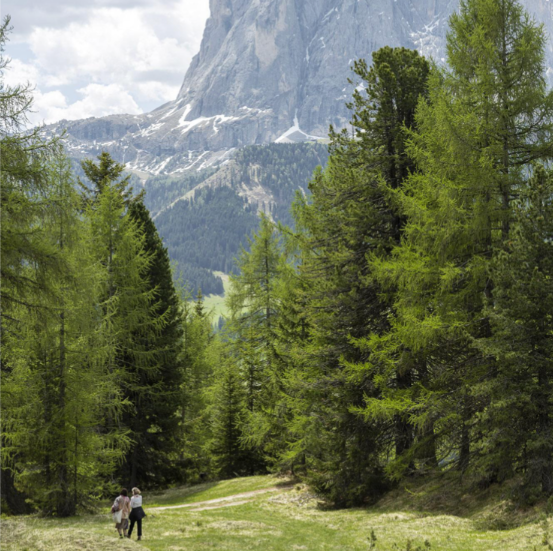 Biennale Gherdëina: “giardini del futuro”, per la decima edizione