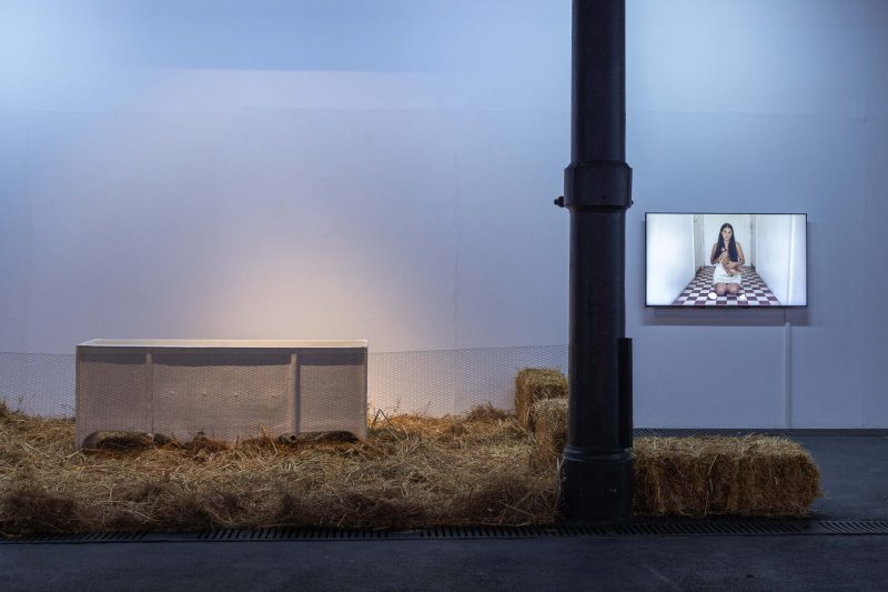 Installation view Spazi di Resistenza, Mattatoio di Roma, Padiglione 9B. Courtesy Latitudo Art Projects © Monkeys Video Lab