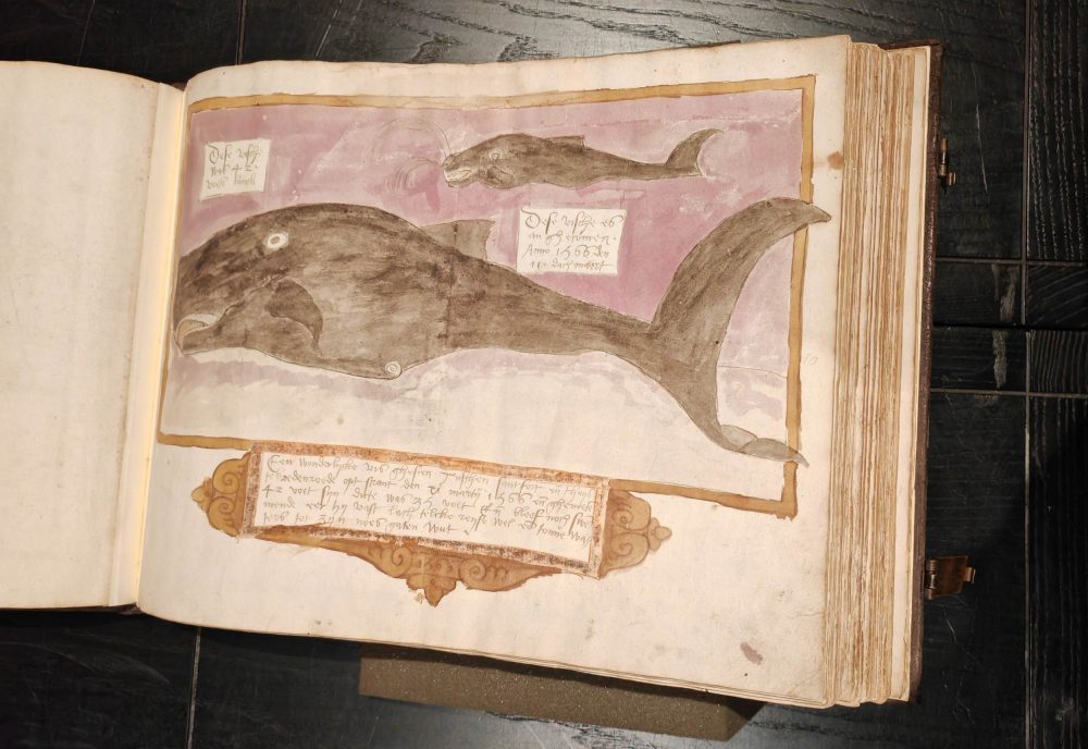 Il Walvisboek, Il libro sulle balene, nella biblioteca Hendrik Conscience di Anversa