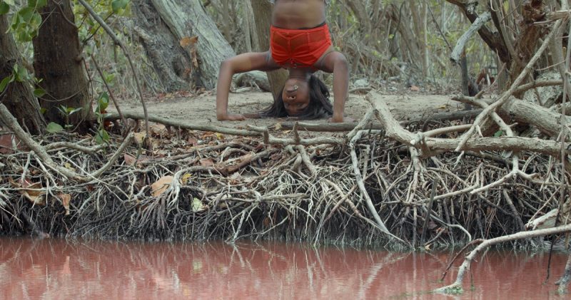 Low Jack & Invernomuto, Mangrovia, 2024 (still), 4K Video, 9 min, Courtesy of the Artist and Pinksummer, Genova