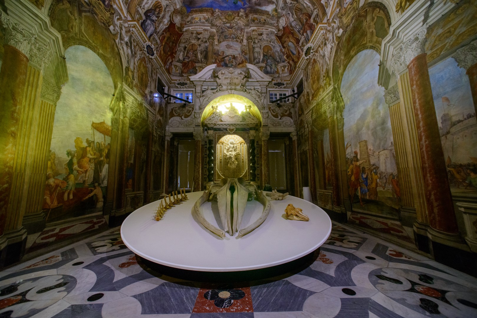 Genova, il mare e Moby Dick: una balena a Palazzo Ducale