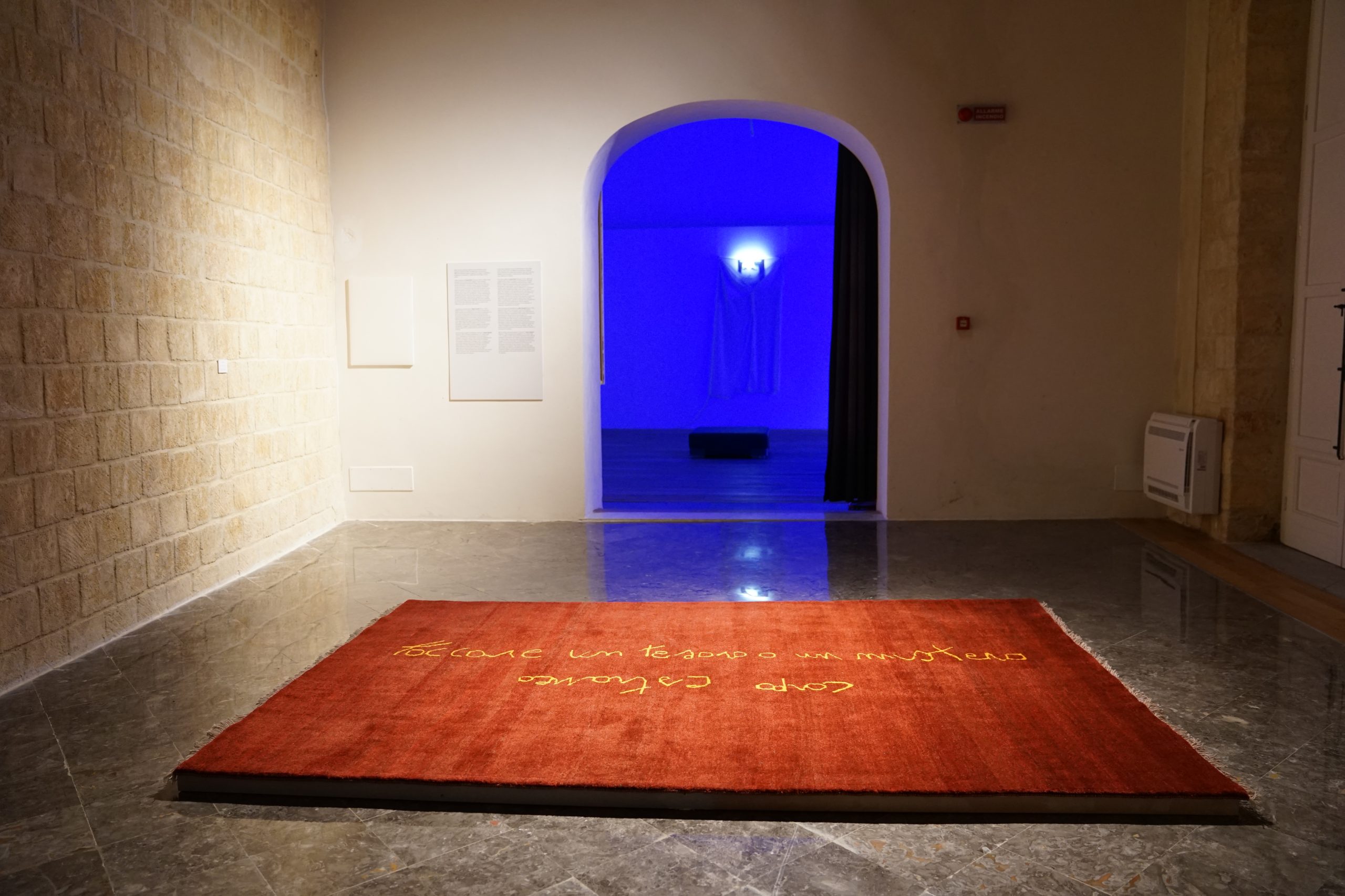 Vucciria: il Riso di domani. Intervista a Evelina De Castro