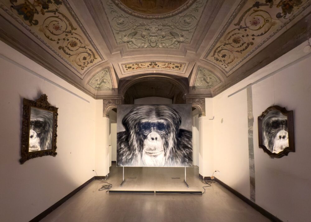 Abel Herrero, In the mirror, exhibition view