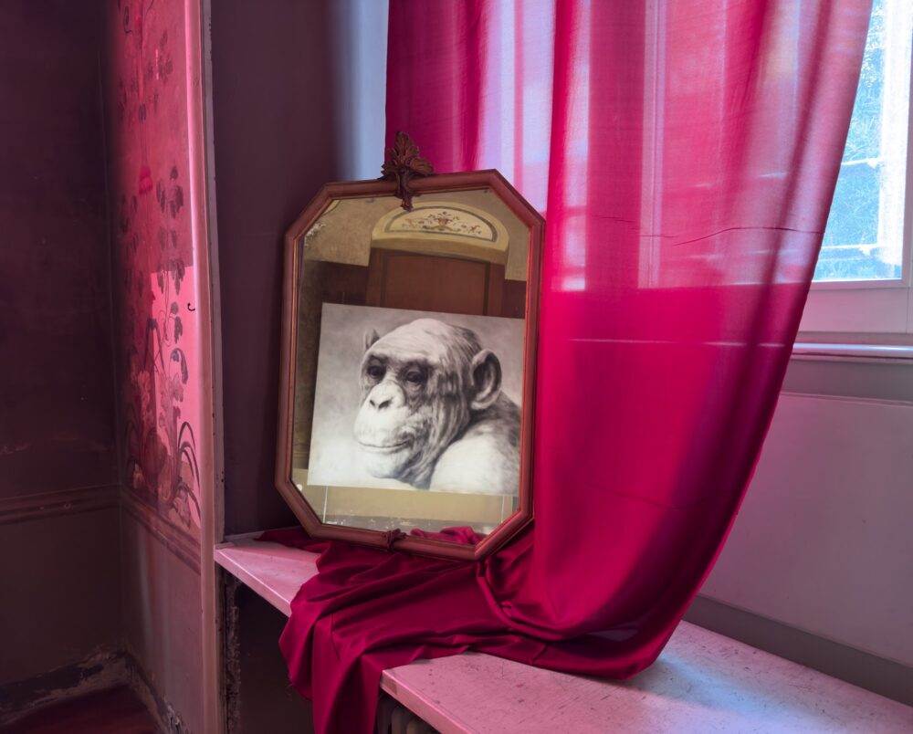 Abel Herrero, In the mirror, exhibition view