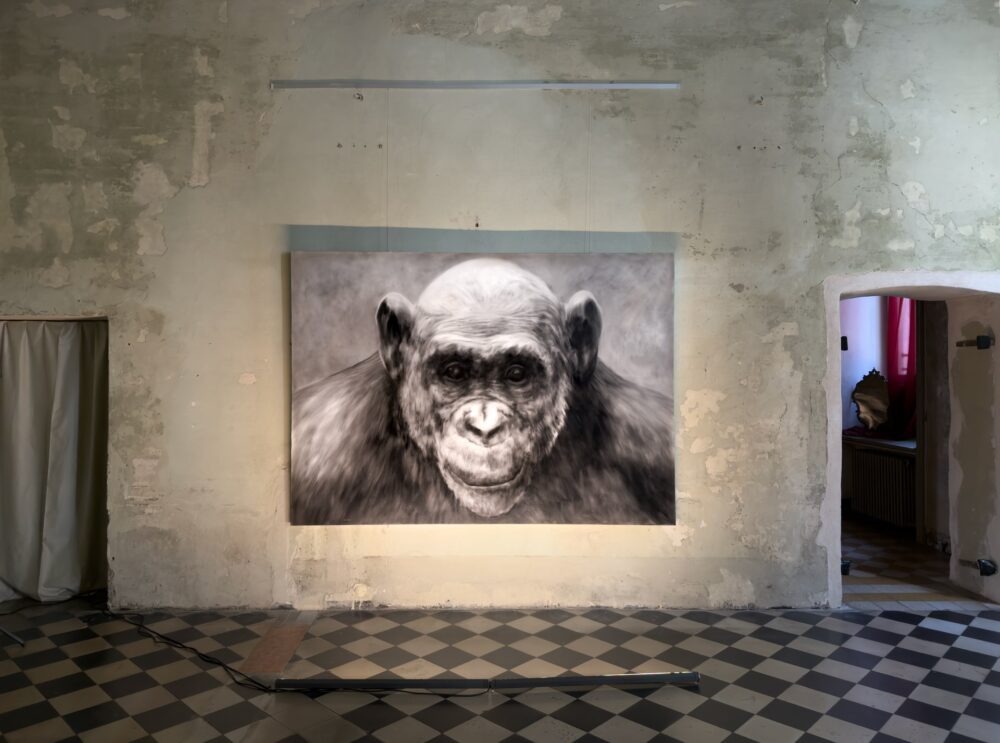 Abel Herrero, In the mirror, exhibition view