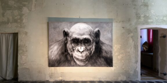 Abel Herrero, In the mirror, exhibition view