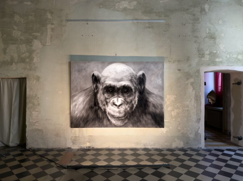 Abel Herrero, In the mirror, exhibition view